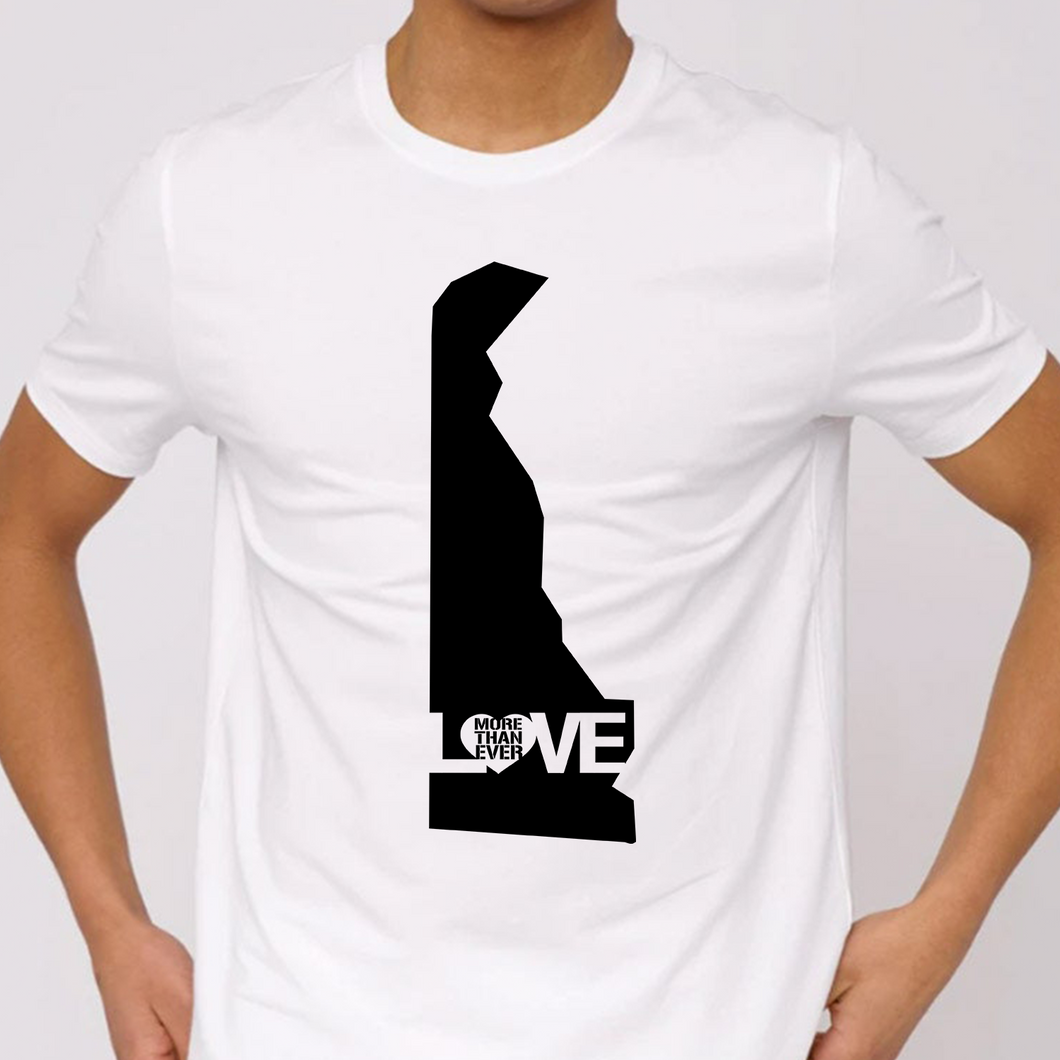 Delaware LMTE State Your Love Tee